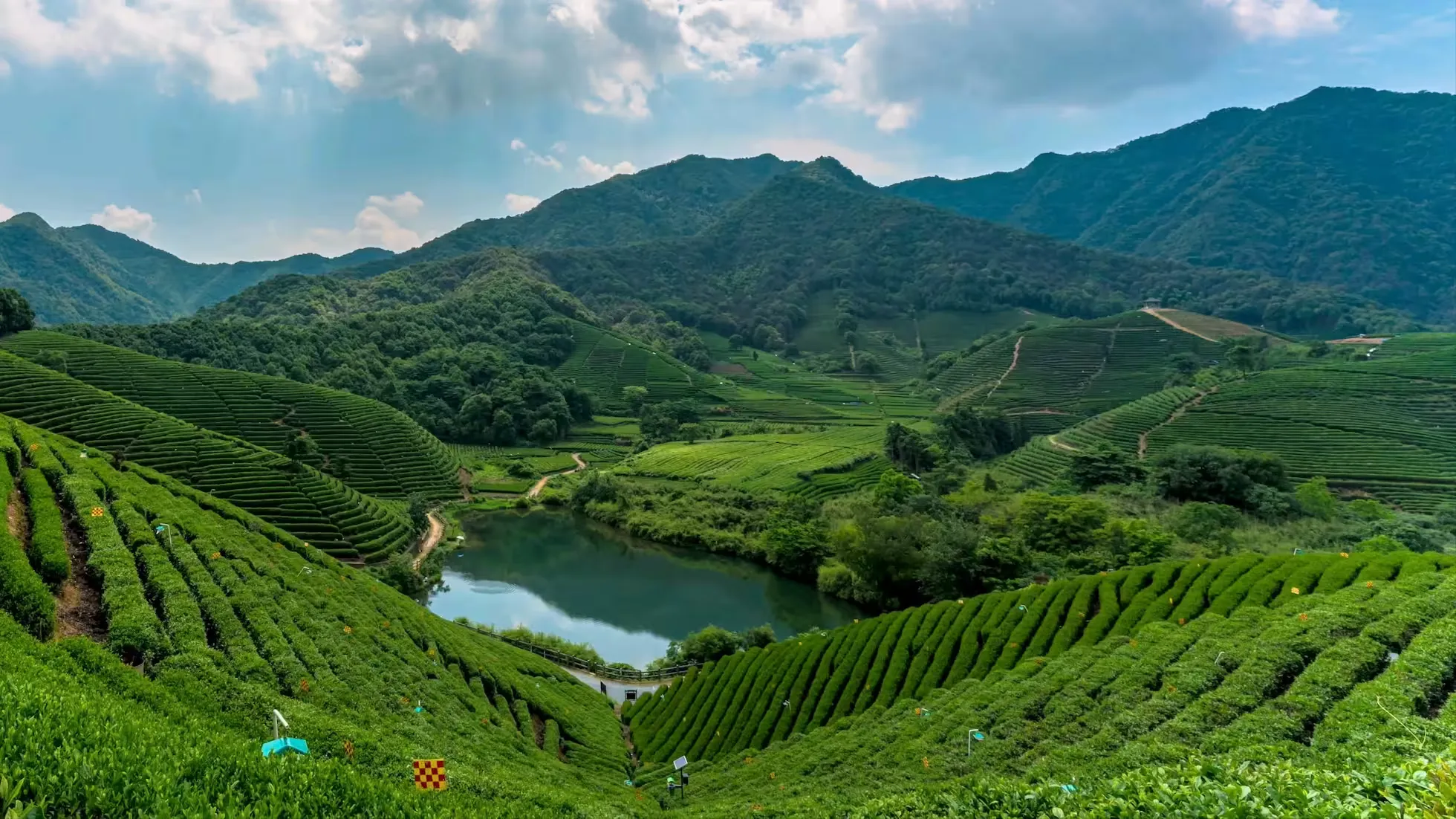 龙坞四季